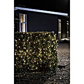 Konstsmide LED-Lichterkette (Außen, 120-flammig, Lichtfarbe: Bernsteinfarben)