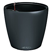 Lechuza Classico Pflanztopf Color LS (Außenmaß (Ø x H): 35 x 32 cm, Kunststoff, Grau) | BAUHAUS