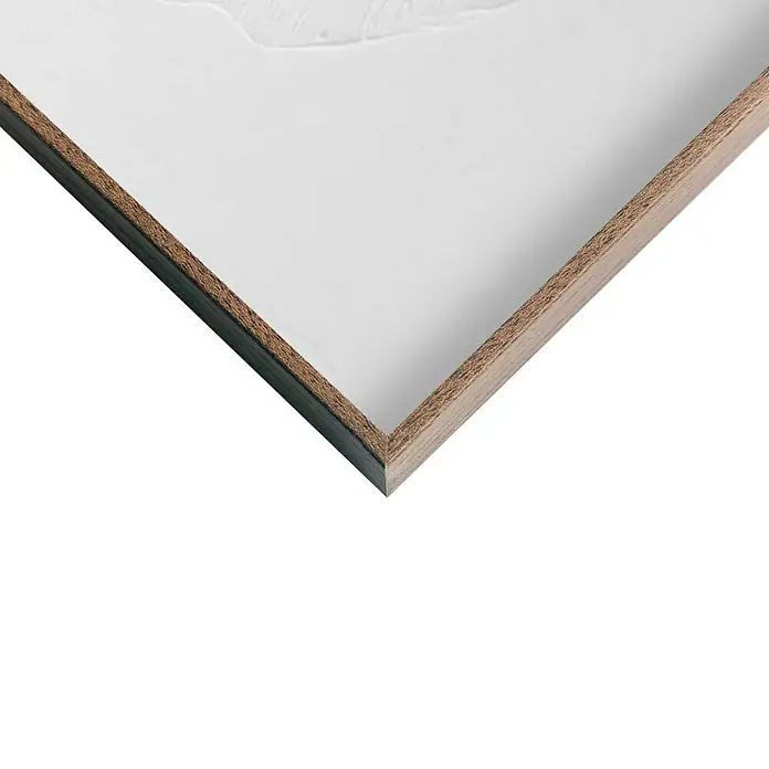 Reinders Bild Craft Art - Ginkgo, B x H: 30 x 40 cm - Nahaufnahme einer gerahmten, weißen Leinwand mit einer subtilen Textur, die einen modernen und minimalistischen Stil zeigt.