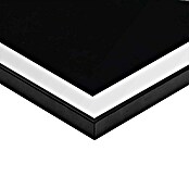 Reinders Bild Slim Frame Black (Lovely Hummingbird, B x H: 50 x 70 cm) | BAUHAUS