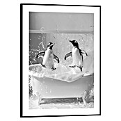 Reinders Bild Slim Frame Black (Penguin Party, B x H: 30 x 40 cm) | BAUHAUS