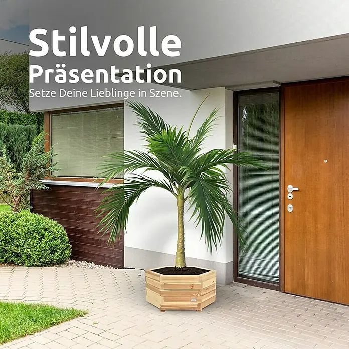 holz4home Pflanzkübel eckig - Holz - Stilvolle Präsentation einer Holzpflanzkiste mit einer Zimmerpflanze davor. Die Pflanzkiste ist aus hellem Holz gefertigt und hat eine sechseckige Form.