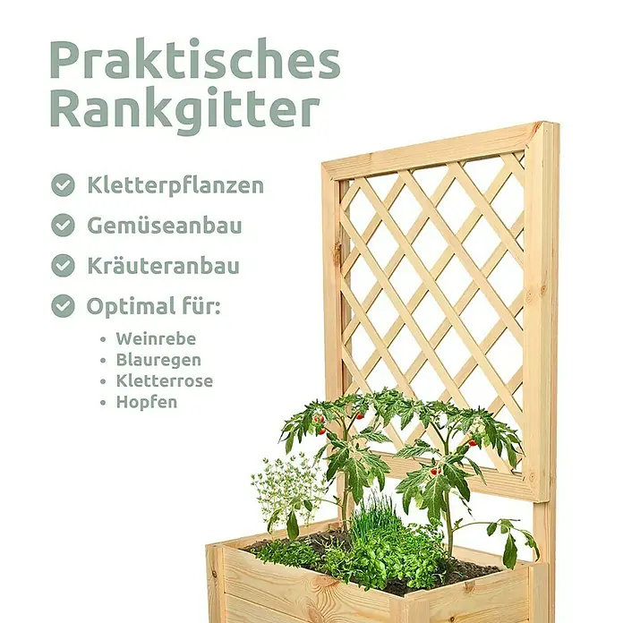 holz4home Pflanzkasten - Holz - Praktisches Rankgitter aus Holz mit verschiedenen Pflanzen in einem Holzkasten, ideal für Kletterpflanzen, Gemüse- und Kräuteranbau.