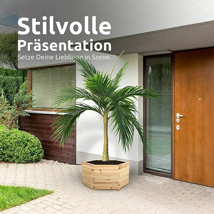 holz4home Pflanzkübel eckig - Holz - Stilvolle Präsentation mit diesem sechseckigen Pflanzkübel aus Holz, der Ihre Pflanzen optimal zur Geltung bringt. Perfekt für den Eingangsbereich.