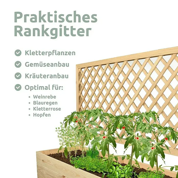 holz4home Pflanzkasten - Holz - Das Bild zeigt ein Hochbeet mit Rankgitter, ideal für Kletterpflanzen, Gemüse und Kräuter.