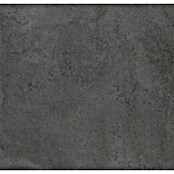 Wandpaneel SPC Concrete Black (l x b x d: 2.605 x 482 x 4,5 mm, Concrete Black) | BAUHAUS