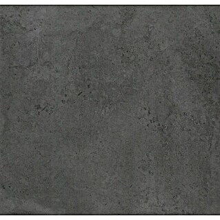 Wandpaneel SPC Concrete Black (l x b x d: 2.605 x 482 x 4,5 mm, Concrete Black)