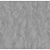 Wandpaneel SPC Concrete Dark (l x b x d: 2.605 x 482 x 4,5 mm, Concrete Dark) | BAUHAUS