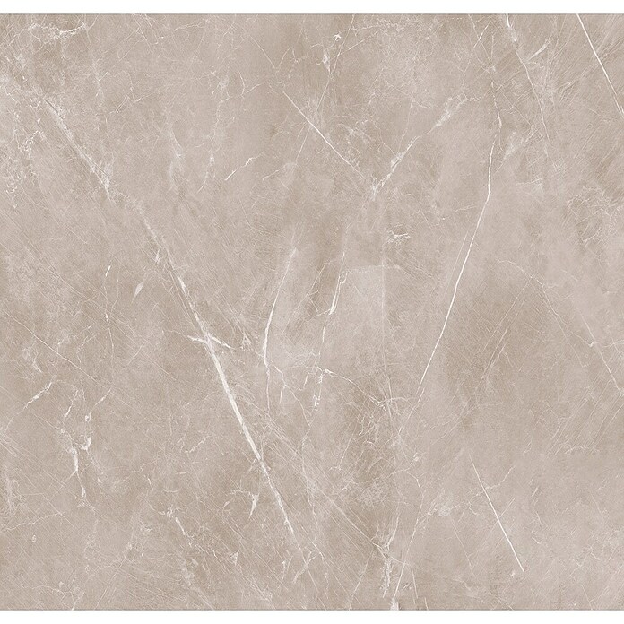 HB Composite Aqua Composite Kliktegel Marble Beige (Marble Beige, 61 cm x 30,5 cm x 4 mm, 12 st.) | BAUHAUS