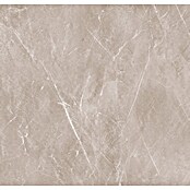 HB Composite Aqua Composite Kliktegel Marble Beige (Marble Beige, 61 cm x 30,5 cm x 4 mm, 12 st.) | BAUHAUS