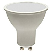 Panaled Pack bombillas LED (7 W, 600 lm, Blanco neutro, GU10) | BAUHAUS