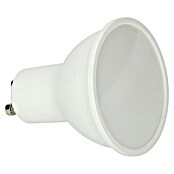 Panaled Pack bombillas LED (7 W, 600 lm, Blanco neutro, GU10) | BAUHAUS