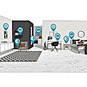 Paulmann Aplique LED para cuadros Mingo (14 W, L x An x Al: 17,5 x 61,5 x 5 cm, Aluminio Cepillado, Blanco cálido) | BAUHAUS