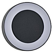 Green Tech Vanjska zidna LED svjetiljka Virginia  (12 W, Crna, IP54, Ø x V: 200 x 45 mm) | BAUHAUS