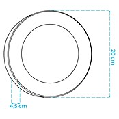 Green Tech Vanjska zidna LED svjetiljka Virginia  (12 W, Crna, IP54, Ø x V: 200 x 45 mm) | BAUHAUS
