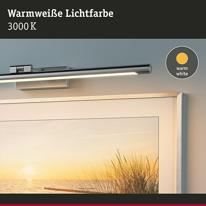 Paulmann Aplique LED para cuadros Mingo (14 W, L x An x Al: 17,5 x 61,5 x 5 cm, Aluminio Cepillado, Blanco cálido) | BAUHAUS