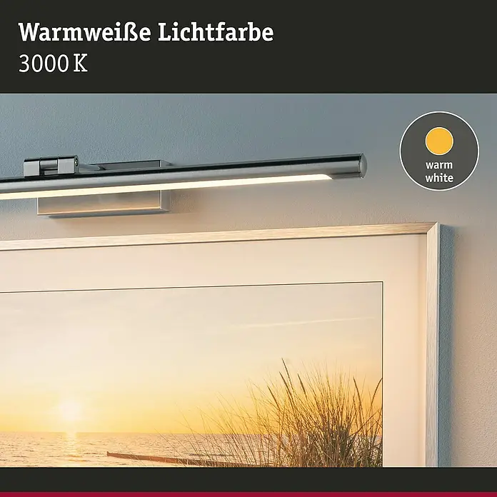 Paulmann LED-Bilderleuchte Mingo - 14 W, L x B x H: 17,5 x 61,5 x 5 cm, Alu gebürstet, Warmweiß - Wandleuchte mit warmweißer Lichtfarbe (3000K), ideal zur Akzentuierung von Bildern und Kunstwerken.