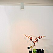 Green Tech Stropni reflektor  (30 W, Do x Š x V: 60 x 60 x 100 mm, Bela, GU10) | Stropni reflektorji | Reflektorji in žarometi | Svetila | Elektro in svetila | Izdelki | BAUHAUS