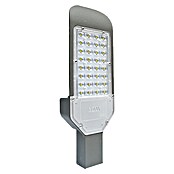 Green Tech Vanjska LED svjetiljka za uličnu rasvjetu  (Boja kućišta: Siva, IP65, 30 W) | BAUHAUS