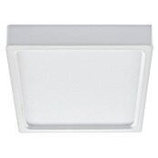 Green Tech LED panel  (12 W, D x Š x V: 155 x 155 x 40 mm, Bijela, Topla bijela) | BAUHAUS