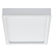 Green Tech LED panel  (24 W, D x Š x V: 280 x 280 x 40 mm, Bijela, Topla bijela) | BAUHAUS