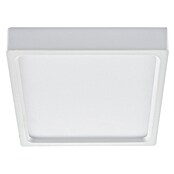 Green Tech LED panel  (18 W, D x Š x V: 230 x 208 x 40 mm, Bijela, Topla bijela) | BAUHAUS
