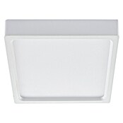 Green Tech LED panel  (6 W, D x Š x V: 107 x 107 x 40 mm, Bijela, Topla bijela) | BAUHAUS