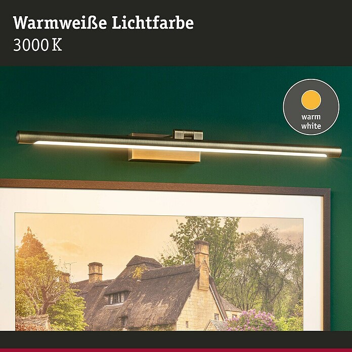 Paulmann Aplique LED para cuadros Mingo (14 W, L x An x Al: 17,5 x 61,5 x 5 cm, Latón, Blanco cálido) | BAUHAUS