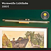 Paulmann Aplique LED para cuadros Mingo (14 W, L x An x Al: 17,5 x 61,5 x 5 cm, Latón, Blanco cálido) | BAUHAUS