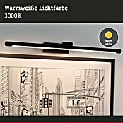 Paulmann Aplique LED para cuadros Mingo (14 W, L x An x Al: 17,5 x 61,5 x 5 cm, Negro, Blanco cálido) | BAUHAUS