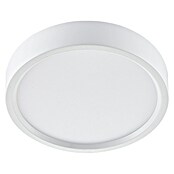 Green Tech LED panel okrugli  (6 W, Ø x V: 110 x 40 mm, Bijela, Neutralno bijelo) | BAUHAUS