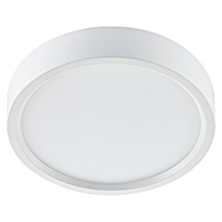 Green Tech LED panel okrugli (24 W, Ø x V: 285 x 40 mm, Bijela, Topla bijela)