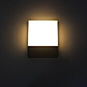 Green Tech LED zunanja stenska svetilka Jupiter  (15 W, 200 x 160 x 45 mm, Temno siva, IP54) | 3078 - Wandleuchte Outdoor | CAJA - Outdoorleuchten Hochvolt | CAJ - Outdoorleuchten | CA - Beleuchtung | C - Elektro | BAUHAUS