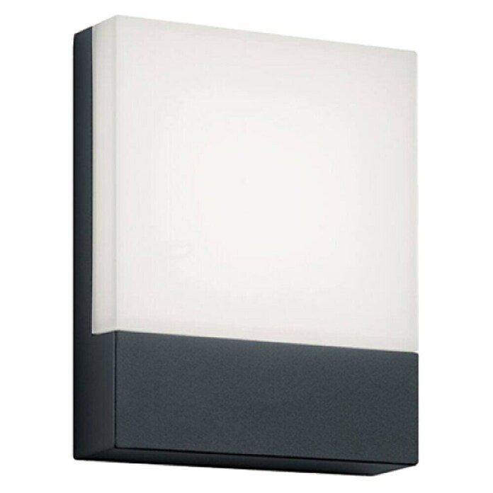 Green Tech LED zunanja stenska svetilka Jupiter  (15 W, 200 x 160 x 45 mm, Temno siva, IP54) | 3078 - Wandleuchte Outdoor | CAJA - Outdoorleuchten Hochvolt | CAJ - Outdoorleuchten | CA - Beleuchtung | C - Elektro | BAUHAUS