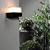 Green Tech Zidna LED svjetiljka Saturn  (5 W, D x Š x V: 90 x 105 x 85 mm, Crna, Topla bijela) | BAUHAUS