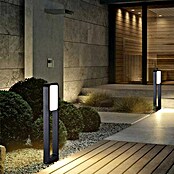 Green Tech Zunanja svetilka na stebričku Neptune  (20 W, Barva ohišja: Črna, Toplo bela, 150 x 70 x 700 mm, Z žarnico) | Svetilke za osvetlitev poti | Zunanja svetila | Elektro in svetila | Izdelki | BAUHAUS
