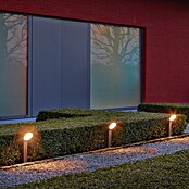 Green Tech Vanjska svjetiljka s postoljem Earth  (10 W, Boja kućišta: Crna, Topla bijela, S izvorom svjetlosti) | BAUHAUS