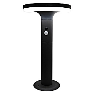 Green Tech Solarna LED svjetiljka sa senzorom (3,1 W, 3.000 K, 210 x 210 x 370 mm, IP44)