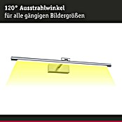 Paulmann Aplique LED para cuadros Mingo (14 W, L x An x Al: 17,5 x 61,5 x 5 cm, Aluminio Cepillado, Blanco cálido) | BAUHAUS