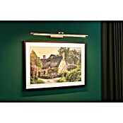 Paulmann Aplique LED para cuadros Mingo (14 W, L x An x Al: 17,5 x 61,5 x 5 cm, Latón, Blanco cálido) | BAUHAUS