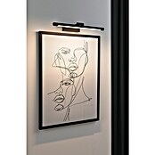 Paulmann Aplique LED para cuadros Mingo (11 W, L x An x Al: 17,5 x 41,5 x 5 cm, Negro, Blanco cálido) | BAUHAUS