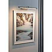 Paulmann Aplique LED para cuadros Mingo (11 W, L x An x Al: 17,5 x 41,5 x 5 cm, Aluminio Cepillado, Blanco cálido) | BAUHAUS