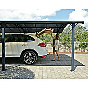 Palram Carport (L x An: 435 x 359 cm, Altura de entrada: 219 cm)