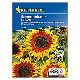 Kiepenkerl Profi-Line Blumensamen Sonnenblume (Helianthus annuus, Ring of Fire, Blütezeit: August)