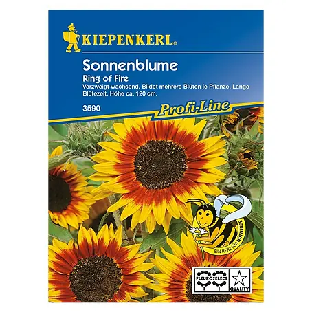 Kiepenkerl Profi-Line Blumensamen Sonnenblume