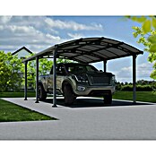 Palram Carport (L x An: 502 x 362 cm, Altura de entrada: 1,95 m)