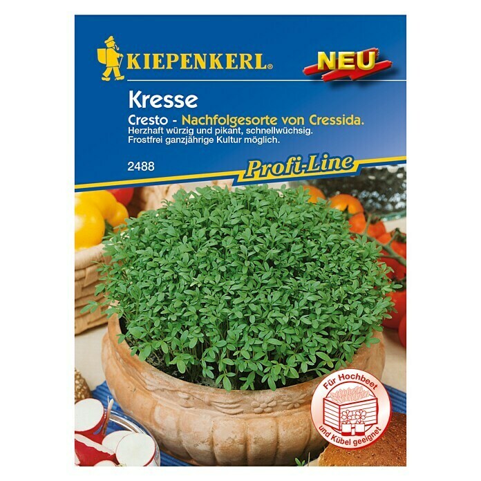 Kiepenkerl Profi-Line Kräutersamen Kresse (Cresto, Lepidium sativum, Saatzeit: Ganzjährig, Erntezeit: Ganzjährig) | BAUHAUS