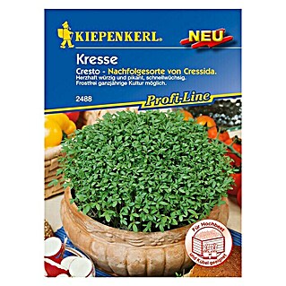 Kiepenkerl Profi-Line Kräutersamen Kresse (Cresto, Lepidium sativum, Saatzeit: Ganzjährig, Erntezeit: Ganzjährig)