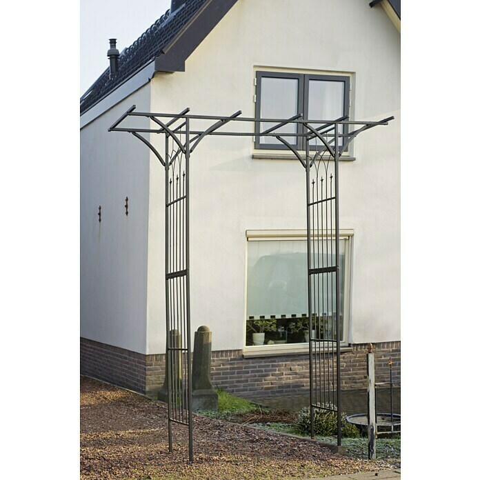 Nature Rosenbogen (114 x 66 x 232 cm, Schwarz)