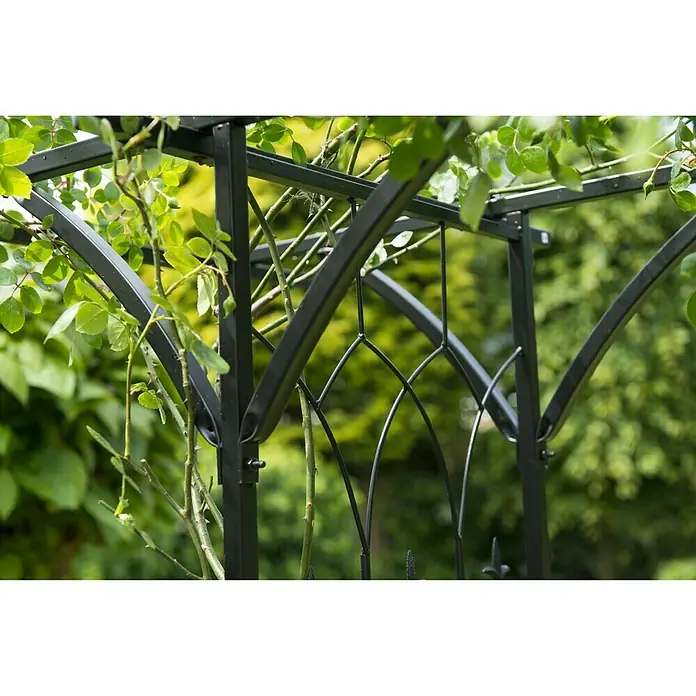 Nature Rosenbogen - Schwarz - Nahaufnahme einer schwarzen Gartenlaube, teilweise mit grünen Blättern bewachsen, die eine ruhige Gartenecke verschönert.